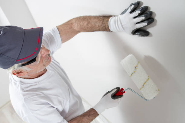 Best Basement Mold Removal  in Athens, AL