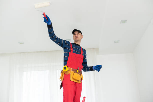 Athens, AL Mold Removal Company
