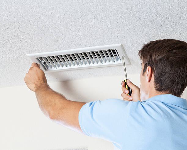 Best Black Mold Removal  in Athens, AL