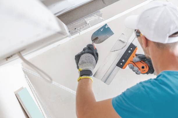 Best Mold Damage Restoration  in Athens, AL